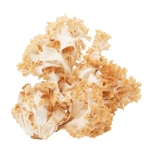 绣球菌干货绣球菇云南香菇类食用菌干菌菇包火锅煲汤食材山珍国货