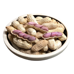 龙岩湿烤花生福建特产紫衣蒜香五香水煮带壳下酒菜炒货官方旗舰店