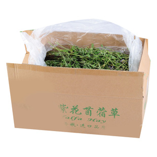 包邮新货精品紫花苜蓿草 兔粮兔子龙猫荷兰猪兔绿新鲜牧草毛重1kg