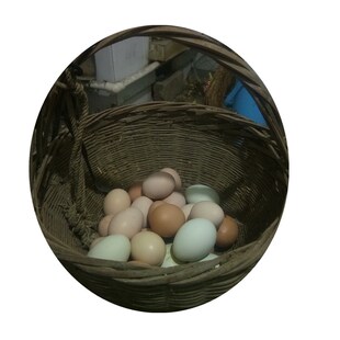 莒南县孙小龙家农村正宗土鸡蛋农家散养笨鸡蛋柴鸡蛋新鲜