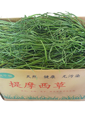7A新26精烘干提摩西草北提毛重1KG提草兔子草荷兰猪龙猫牧草岷县