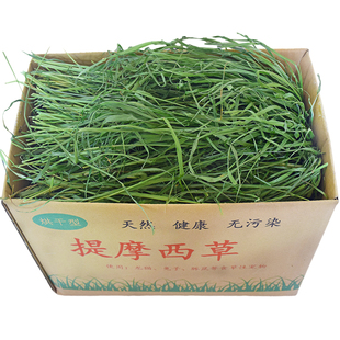 7A新25精烘干提摩西草北提毛重1KG提草兔子草荷兰猪龙猫牧草岷县
