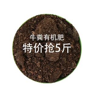 牛粪有机肥腐熟发酵天然绿色健康花卉绿植农作物盆栽花园草坪菜地