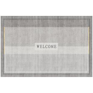 入户门地垫门口门垫现代简约脚垫耐脏客厅轻奢高级可裁剪进门地毯