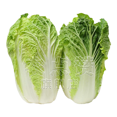 [耐热耐湿]黄心大白菜种子