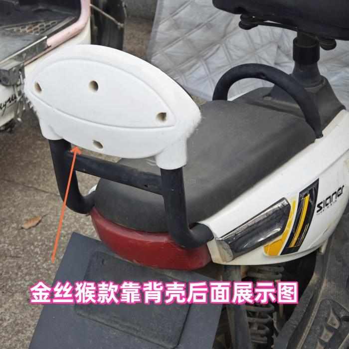 电动车简易款靠背金丝猴后靠背小骏马后靠垫烤漆塑料壳电动车配件