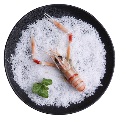 新西兰进口深海鳌虾1KG