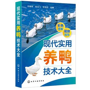 现代实用养鸭技术大全 郑嫩珠 鸭引种饲养管理 疾病预防治诊断和鸭场经营 现代鸭种繁育  科学养殖业养鸭专业户全新养鸭指导书籍