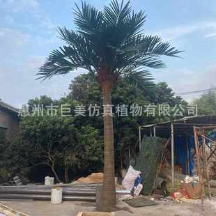 园林绿化椰子树 饰玻璃钢椰树 室外大型仿真椰子树 商场酒店沙滩装