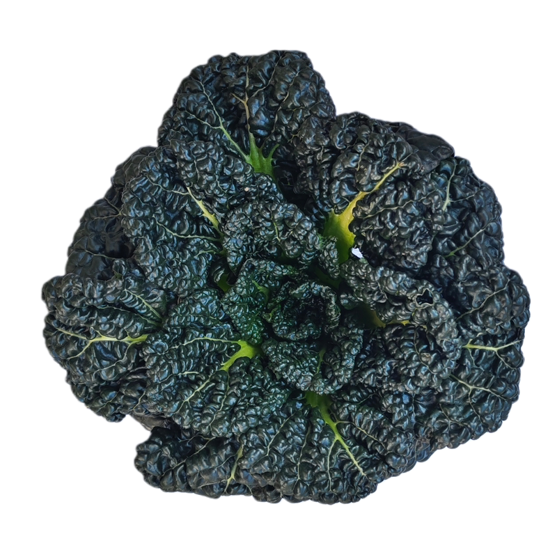 上霜青菜新鲜蔬菜湖北随州泡泡青霜打霜冻矮杆大叶青菜打霜火锅菜