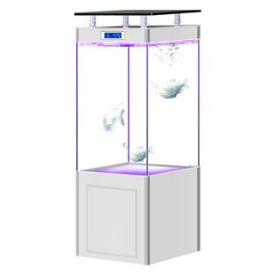 2025新款底滤超白玻璃客厅中大型龙鱼缸家用立式靠墙免换水水族箱
