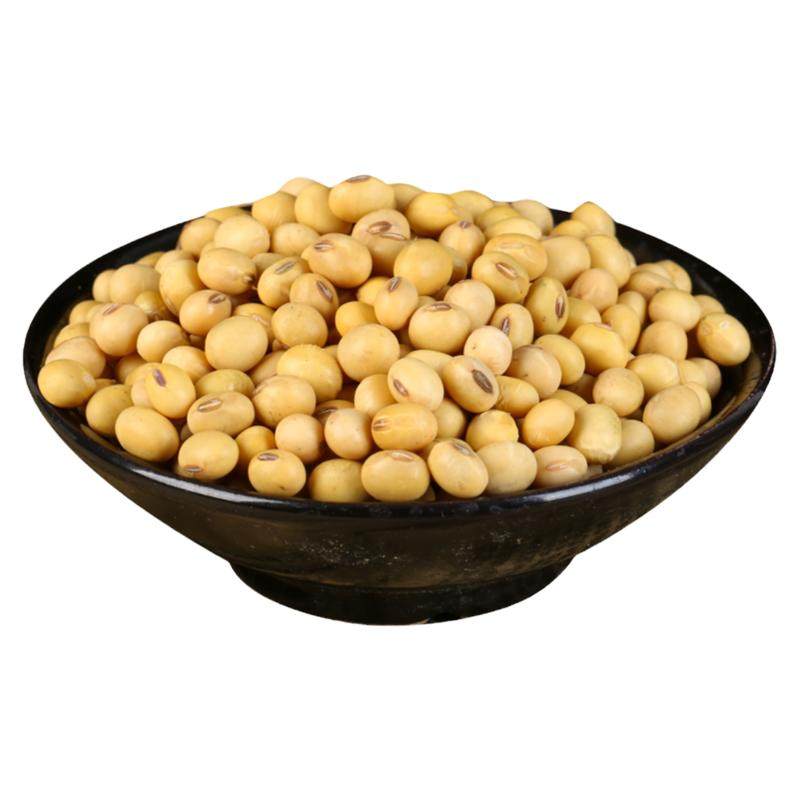 2025新黑龙江非转基因黄豆老品种椭圆形生芽打豆浆土黑肚脐真空装