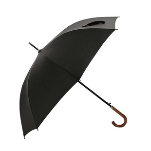 德国进口风暴伞弯柄全自动双人晴雨伞直柄超大抗风男女长柄伞定制