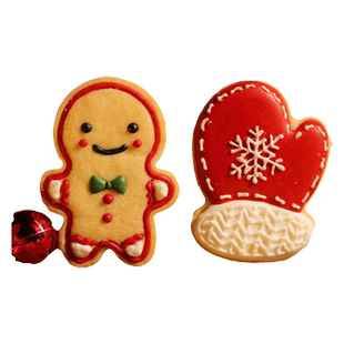 圣诞节姜饼人曲奇饼干模具圣诞老人屋家用糖霜烘焙立体树翻糖材料