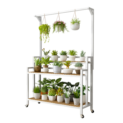 2026新款铁艺实木花架