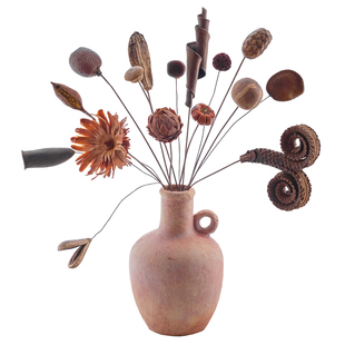 进口干果实干花松果莲蓬葫芦棉花真植物复古软装民宿装饰拍摄道具