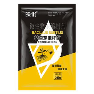 枯草芽孢杆菌农用微生物菌剂微生物菌肥土壤改良剂生物有机菌肥