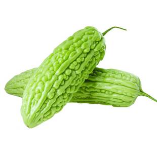 苦瓜种子杂交苦瓜种籽种苗齐顶油绿大刺瘤油绿四季蔬菜包邮润泽