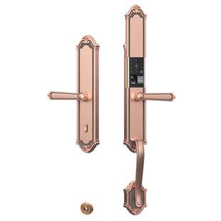 别墅大门双开门指纹锁密码锁铜门智能锁电子锁防盗门智能门锁家用