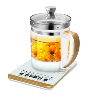 110v伏养生壶智能煎药煲家用恒温水壶玻璃花茶壶出口美国日本台湾