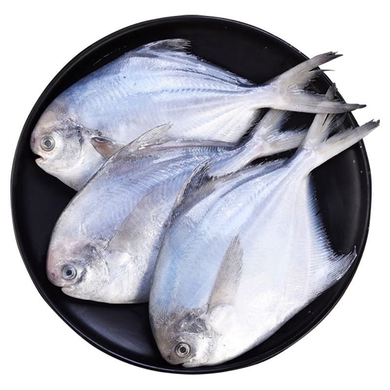 新疆虹鳟鱼新鲜三文鱼现切日料冷冻寿司即食刺身整条一整只切冰鲜