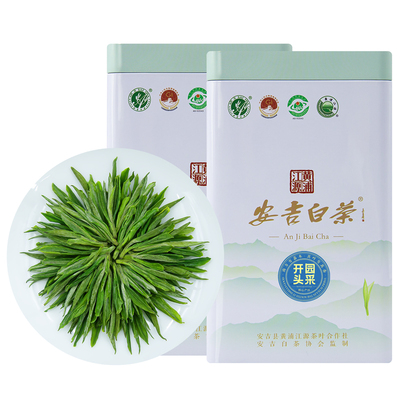 明前头采安吉白茶罐装