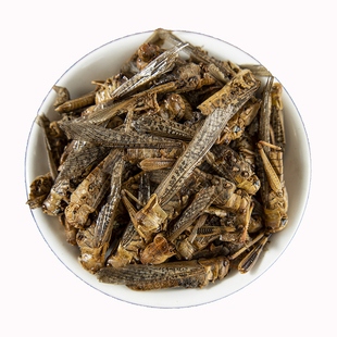 蝗虫干中药材 蚂蚱干蛐蛐 五谷虫 蝼蛄 蟋蟀 蟑螂鸟饲料500克包邮