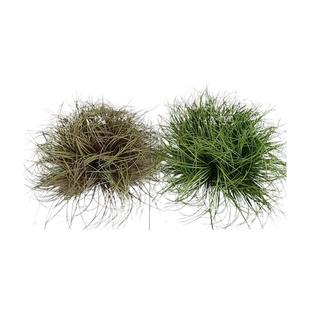 仿真草团蒲草装饰摆件地皮草狗尾草芦苇花室内假绿植软装苔藓造景