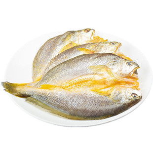 平潭大带鱼礼盒 带箱10斤顺丰包邮 两款包装随机发