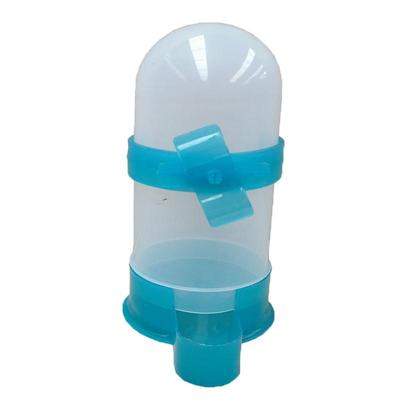 芦丁鸡食槽鸽子喂食器鸽子饮水器