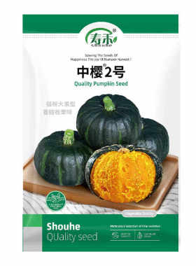 粉糯香甜新鲜宝宝辅食小南瓜