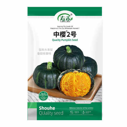 正宗寿禾绿贝贝南瓜种子板栗味小惠和一号粉糯香甜宝宝辅食蔬菜籽
