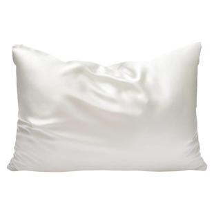 Winssy品牌高端重磅真丝网红枕头套粉色单人桑蚕丝礼品枕套22姆米