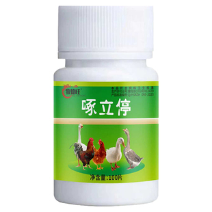 啄立停止啄灵鸡鸭鹅防啄毛止啄止咬灵鸡鸭防啄蛋小鹅啄毛鸡啄羽毛