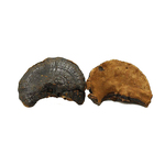 大朵灵芝正品长白山紫灵芝灵芝片正品泡酒灵芝养生茶【新疆停发】