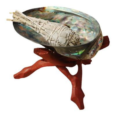 美国加州进口白鼠尾草疗愈套装