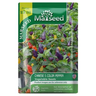 【MARSEED火星家】Five color Pepper 五彩观赏辣椒种子籽孑苗