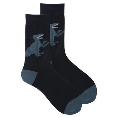 嘻哈twnnsocks欧美恐龙中筒袜