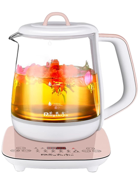 小型迷你养生壶玻璃烧水煮茶壶