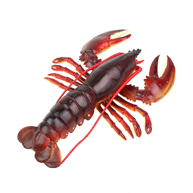 模型澳洲生物波士顿摆件仿真龙虾