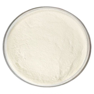 唾液乳杆菌1000亿cfu 食品级水溶性益生菌粉 高活性原料 厂家直发