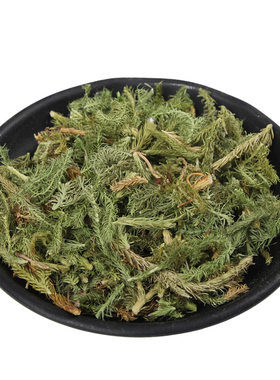 伸筋草一斤装中药材大全店可磨粉