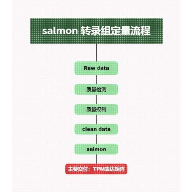 转录组 RNAseq 上游分析 salmon获取TPM矩阵转录本与基因水平定量