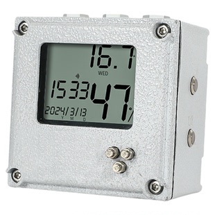 本安型防爆温湿度计检测记录仪甲乙类车间化工厂防爆温湿度显示屏