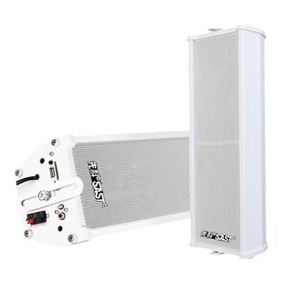 先科 ST501有源音柱防水室外音响蓝牙壁挂式户外挂墙店铺专用音箱