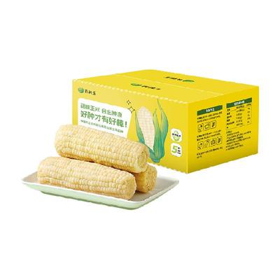 农科玉336五常甜糯相兼玉米