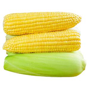新鲜水果玉米5斤甜嫩玉米现摘爆浆牛奶生的玉米棒子黄金蔬菜包邮9