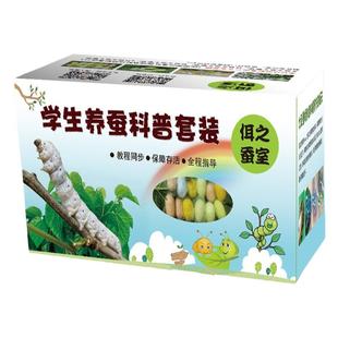 学生养蚕小幼虫蚕宝宝新鲜桑叶彩色七彩蚕金丝蚕桑叶蚕卵套装丝蚕