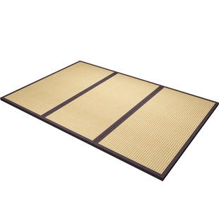 榻榻米床垫子定做尺寸电加热日式家用塌塌米椰棕炕垫子踏踏米地垫