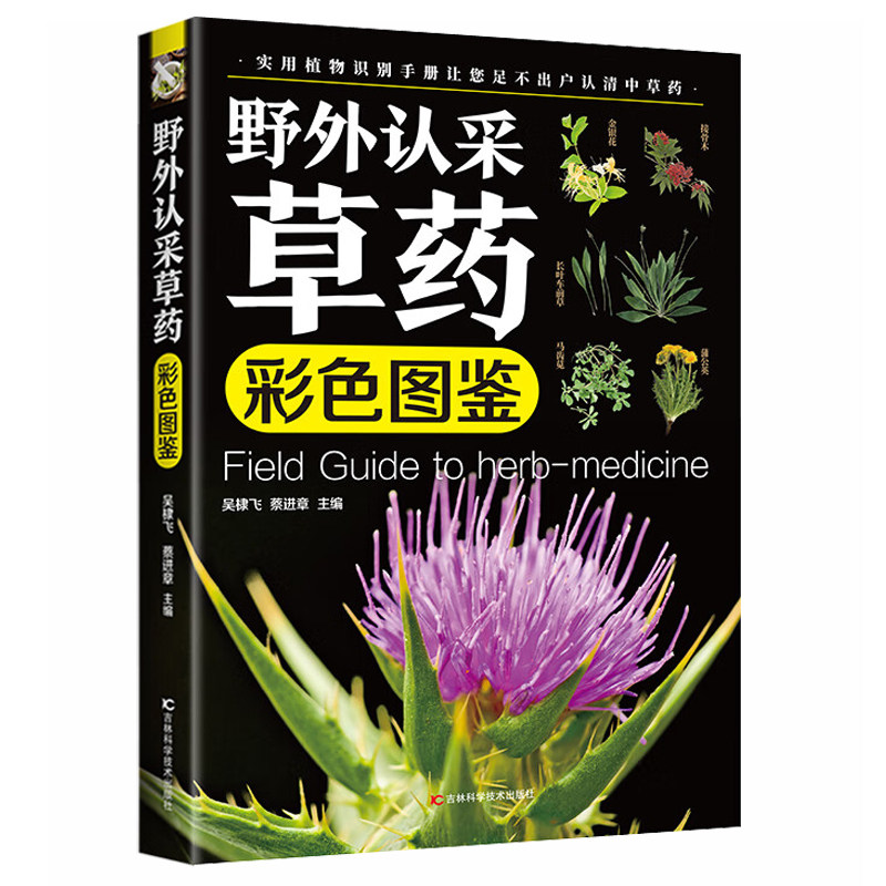 野外认采草药彩色图鉴图解中华汉方快速认药彩图全套中草药学野外识别应用彩色图鉴中草药彩图大全图解版草药材识别入门通俗易懂
